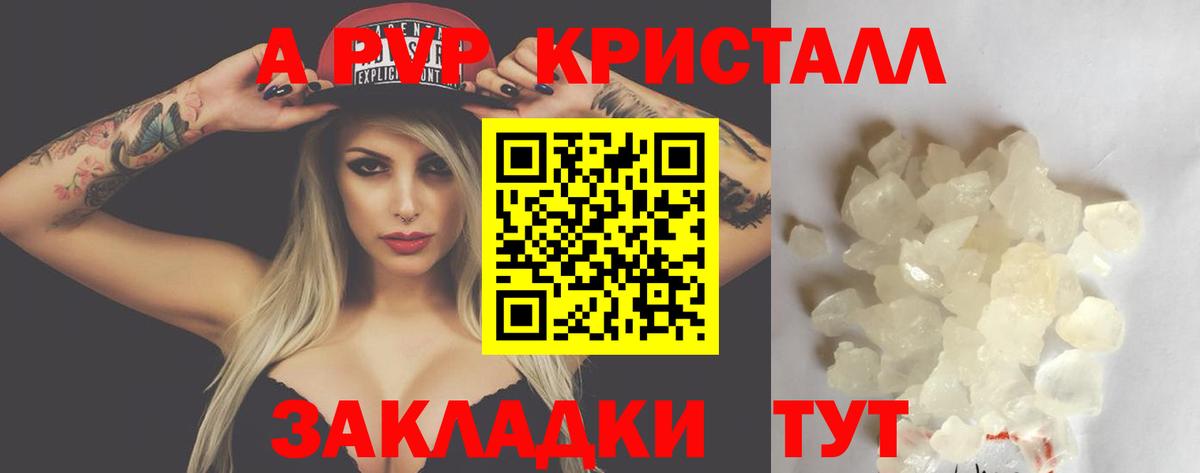 Alfa_PVP СК Волгоград