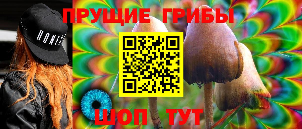 Псилоцибиновые грибы Psilocybe Волгоград